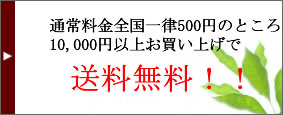 送料無料